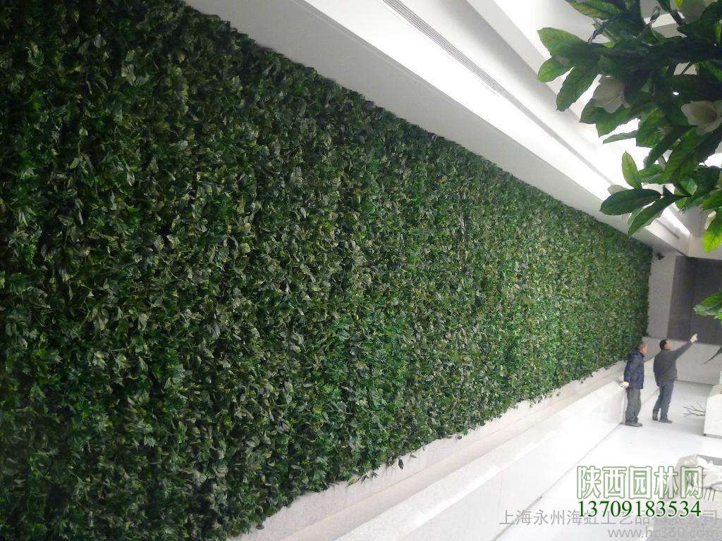 室外墙面绿化——“植物墙绿化”2